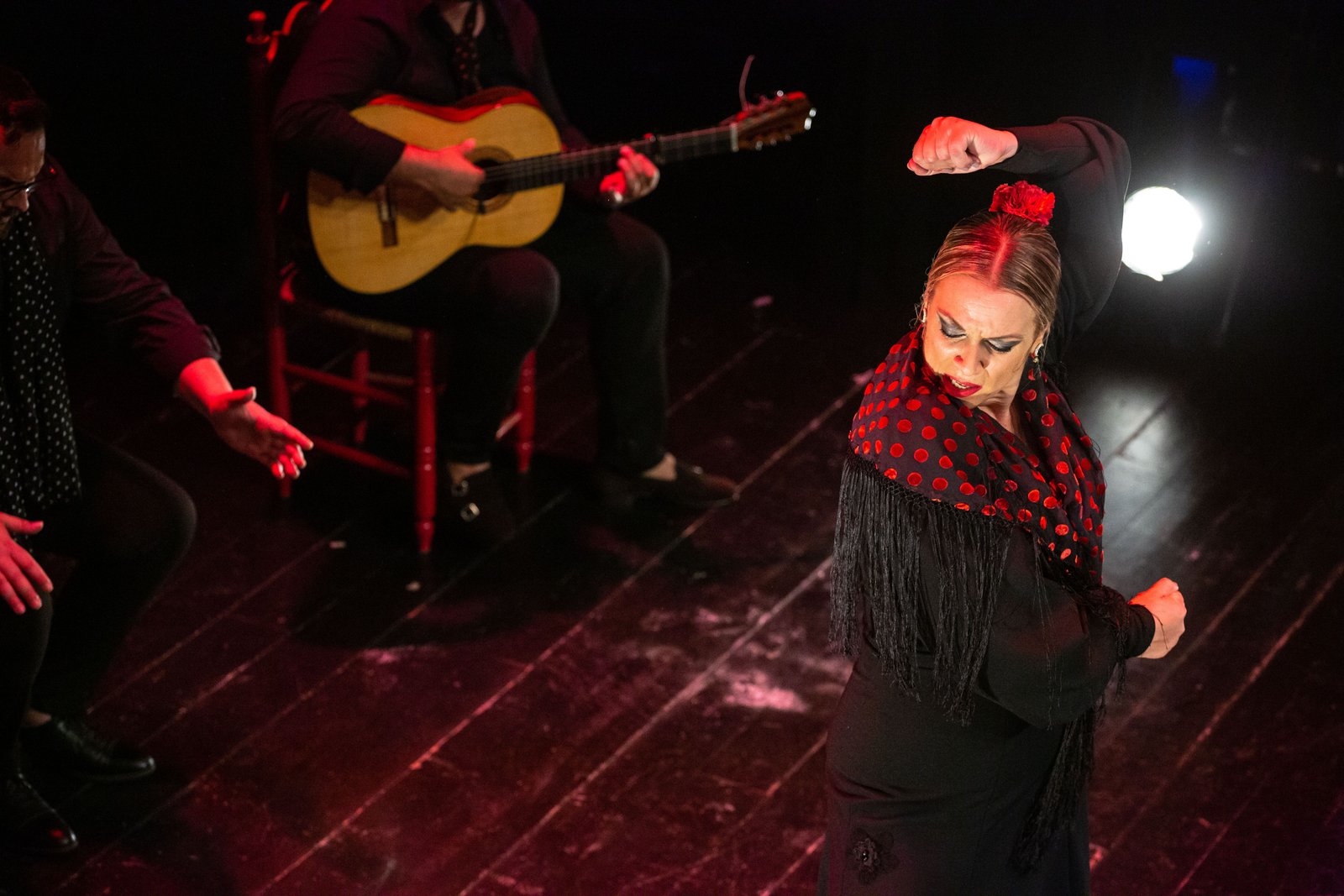 La Tani Escola de Flamenc — foto oficial de la escuela