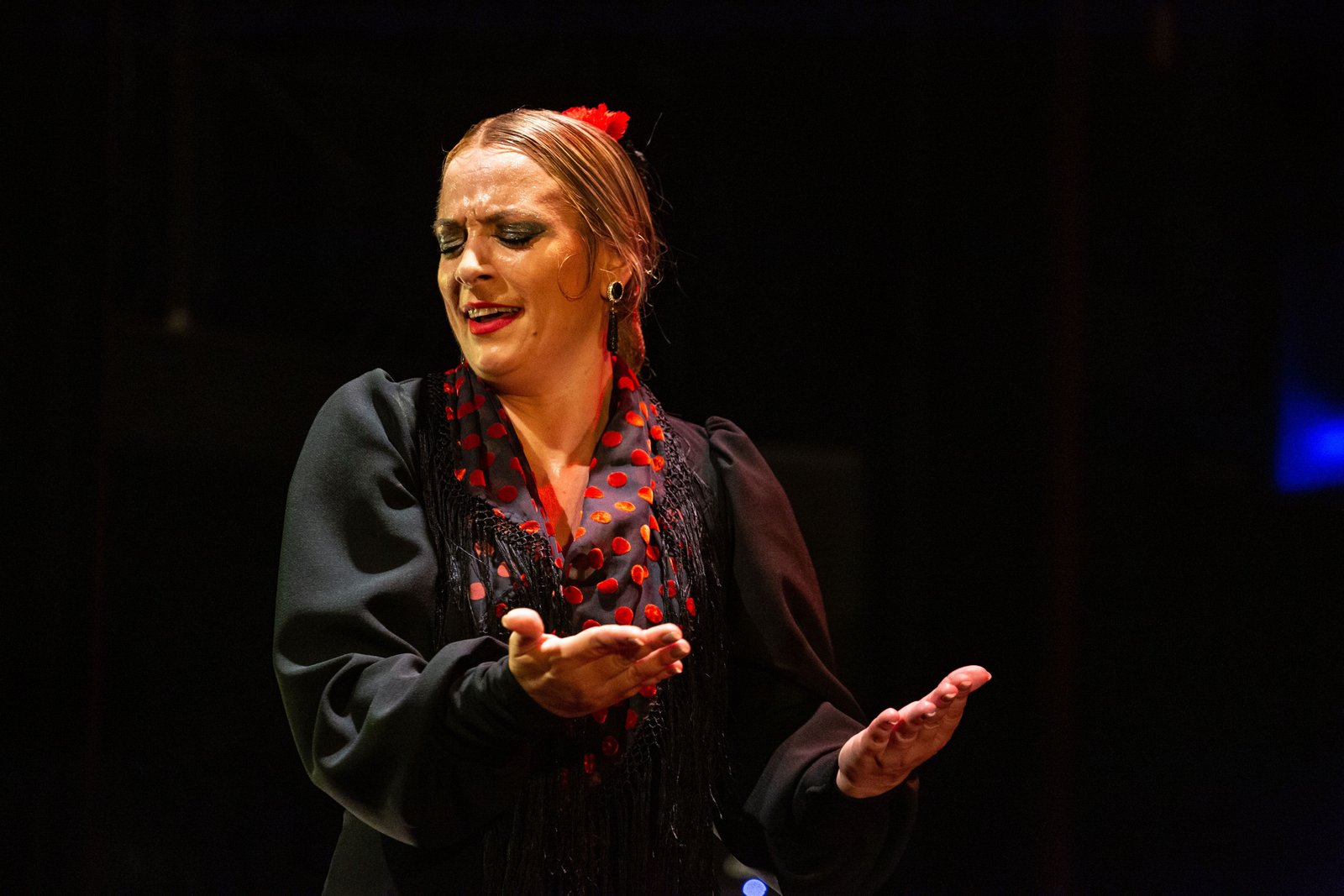 Espectacle flamenc
